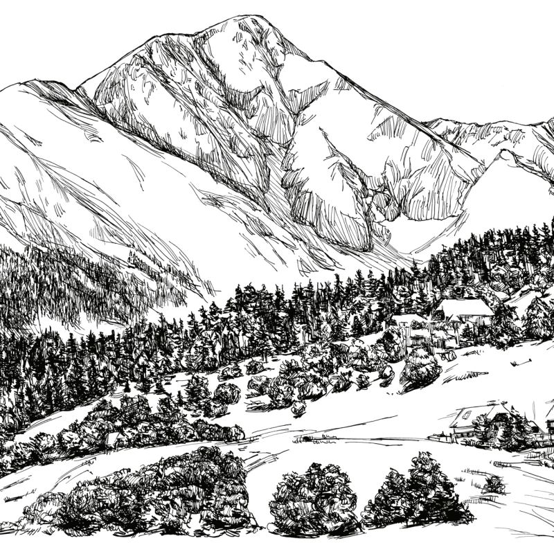 Detailed hand-drawn landscape with an Alpine peak and wooded hillside