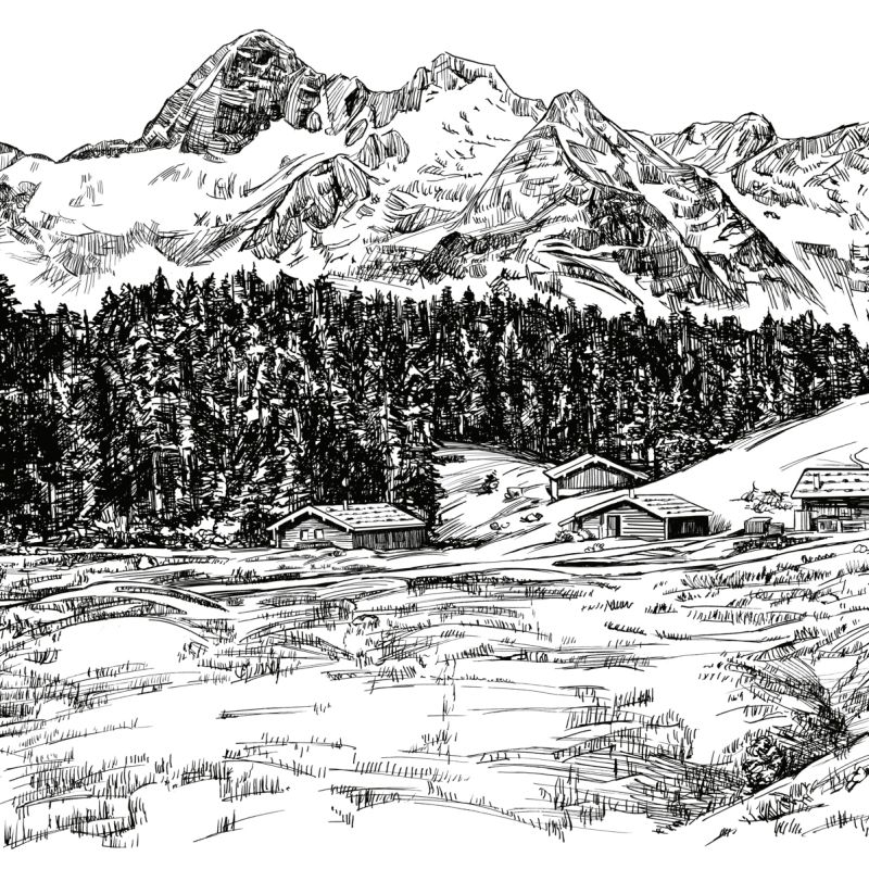 Original detailed ink drawing of a forested Alpine mountain valley