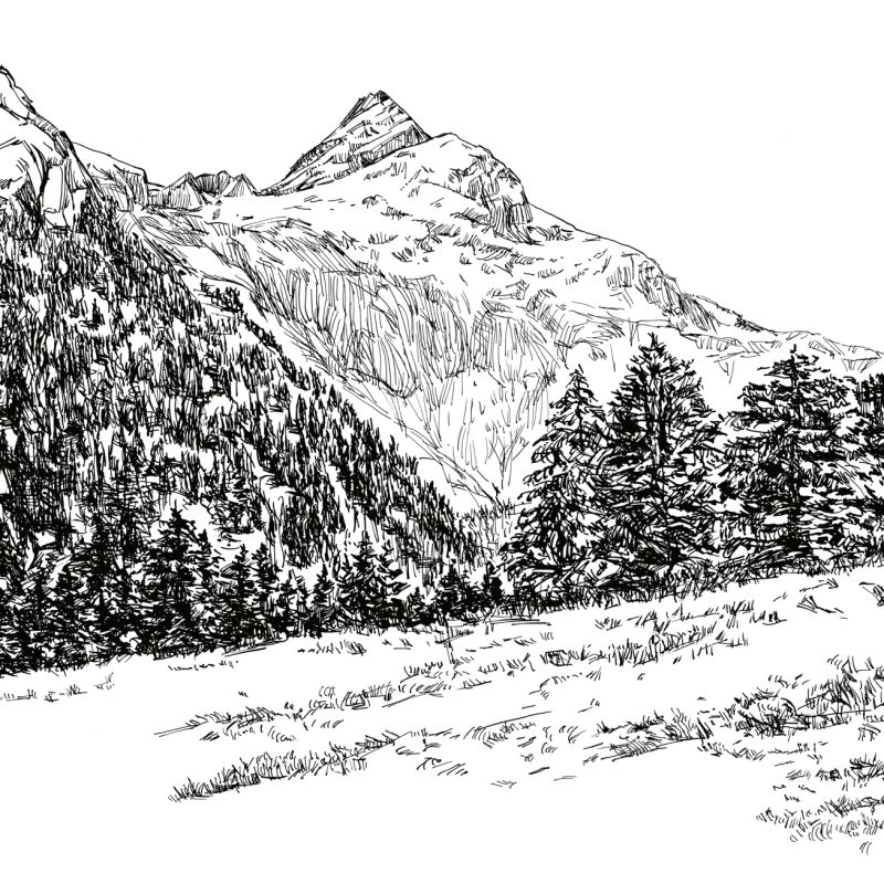 Original ink illustration of a mountain valley framed by trees