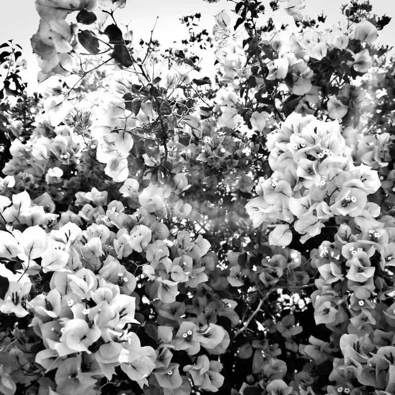 artphotography 1