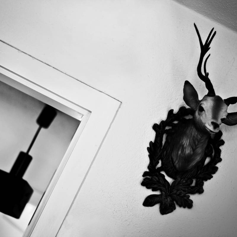 artphotography 3