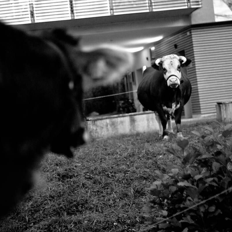 artphotography 4
