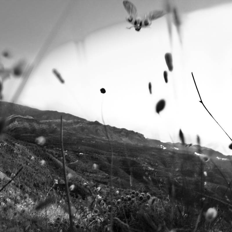 artphotography 5