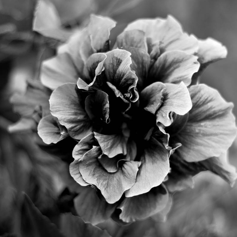 artphotography 6