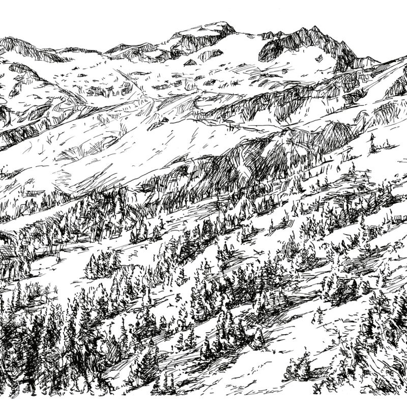 Original pen and ink illustration of a forested Alpine hillside and distant mountain ridges