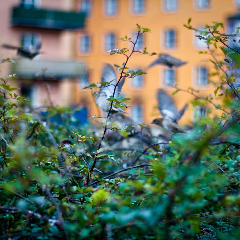 unrealphotography 11