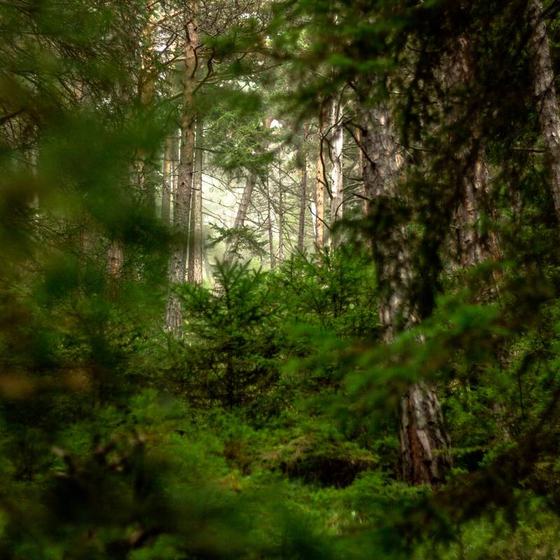 unrealphotography 1