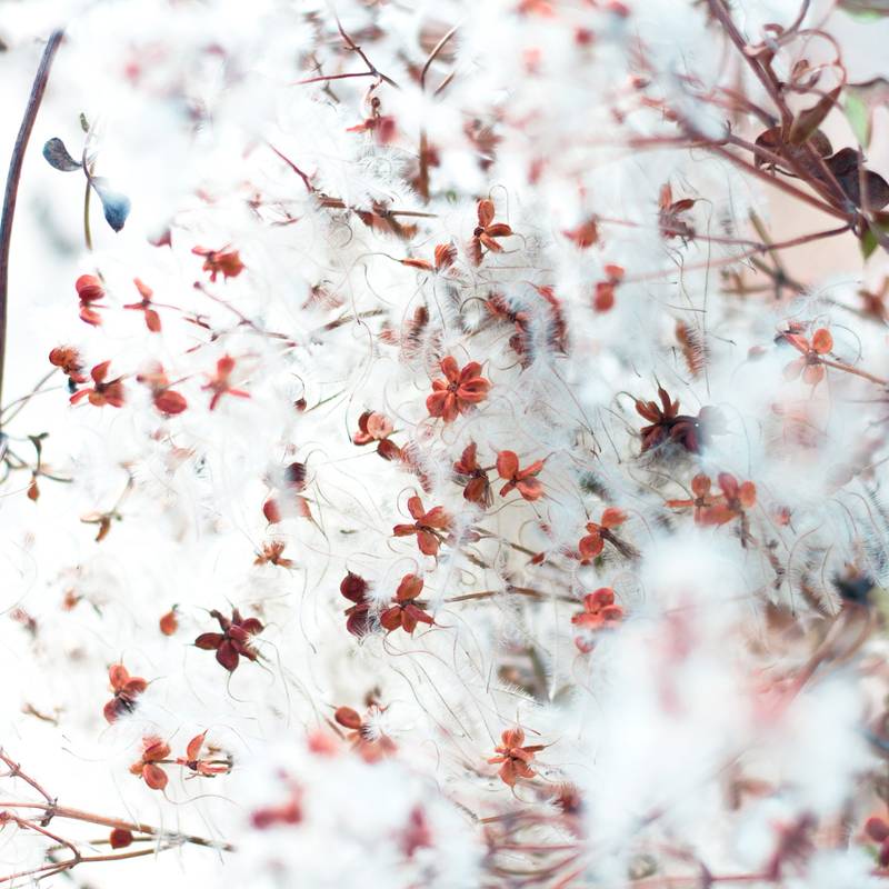 unrealphotography 21