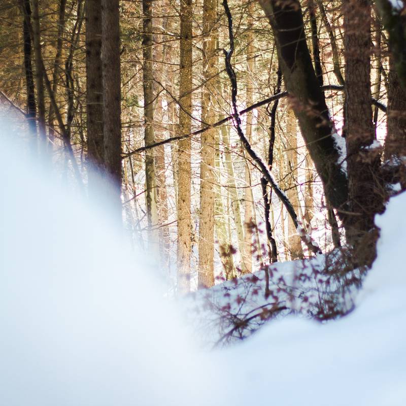unrealphotography 8