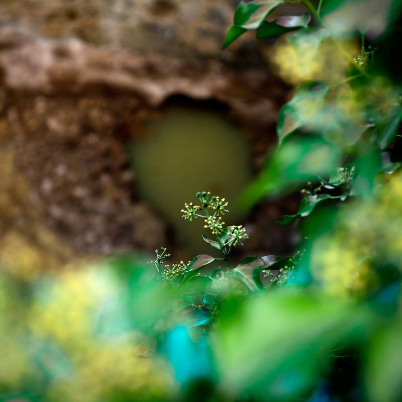 unrealphotography 9