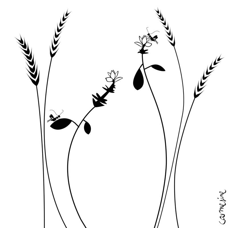 vegetalprint 13